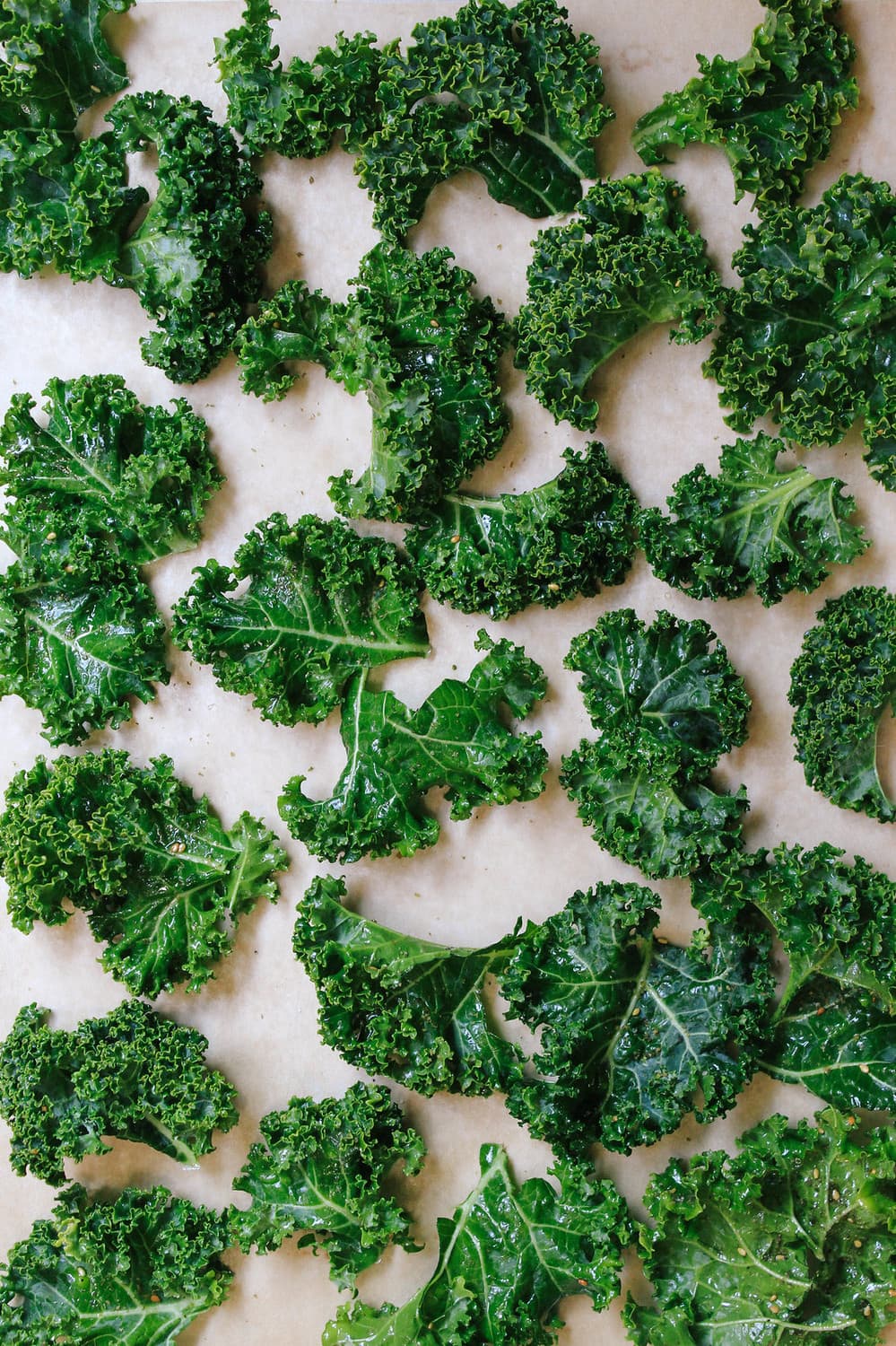 Kale Chip Anyone??? - The Passionate Vegan