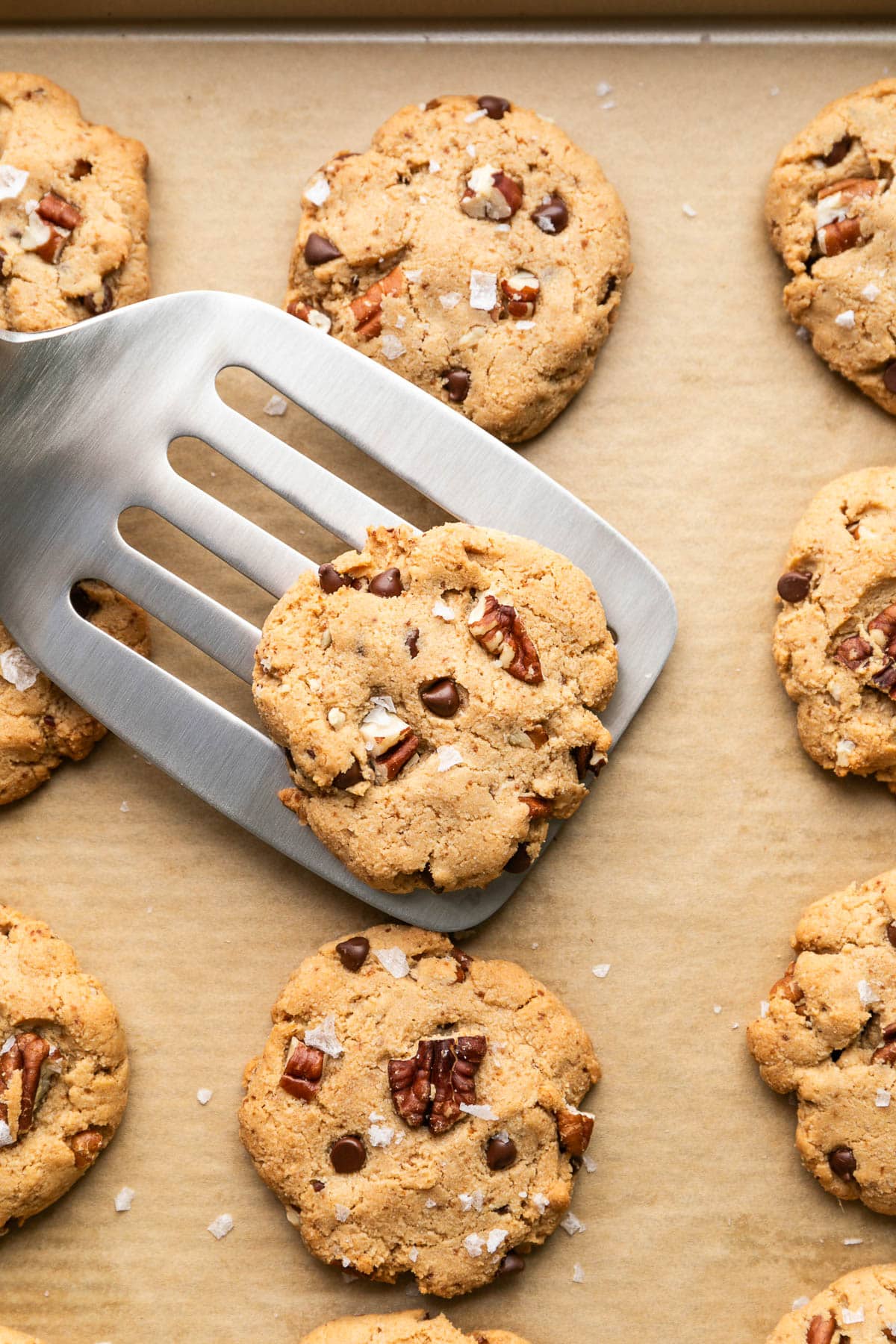 top down view of freshly baked gluten free pecan cookie on spatula with more cookies surrounding.
