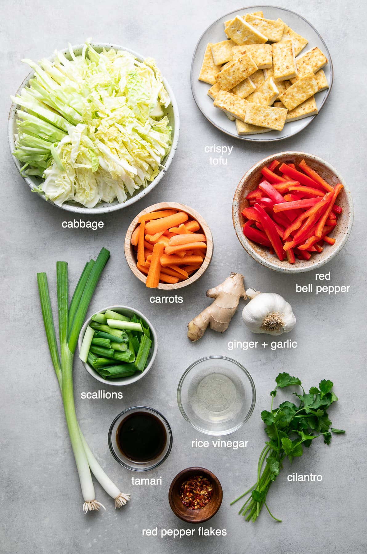 top down view of ingredients used to make cabbage stir fry.