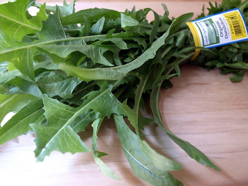 Spring Salad: Dandelions