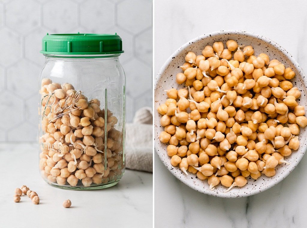 side by side photos of sprouted chickpeas.