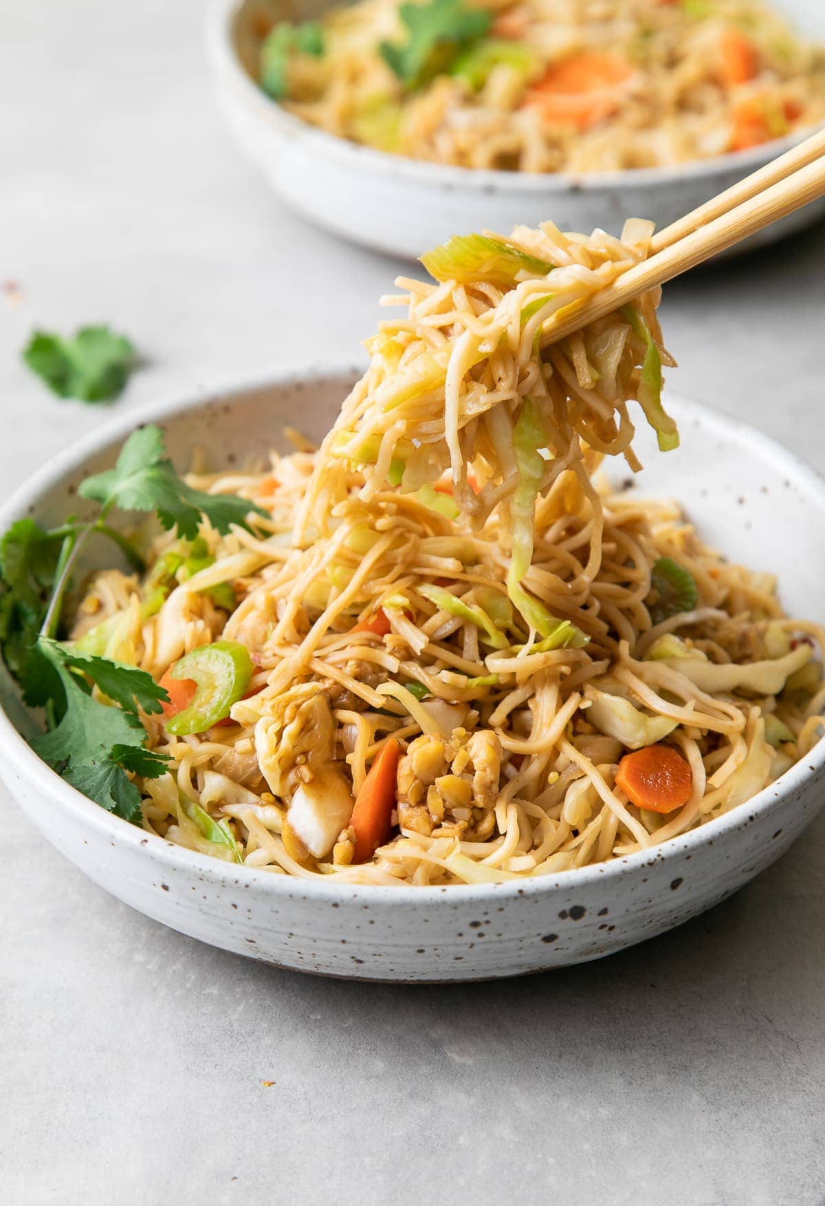 Tempeh Chow Mein