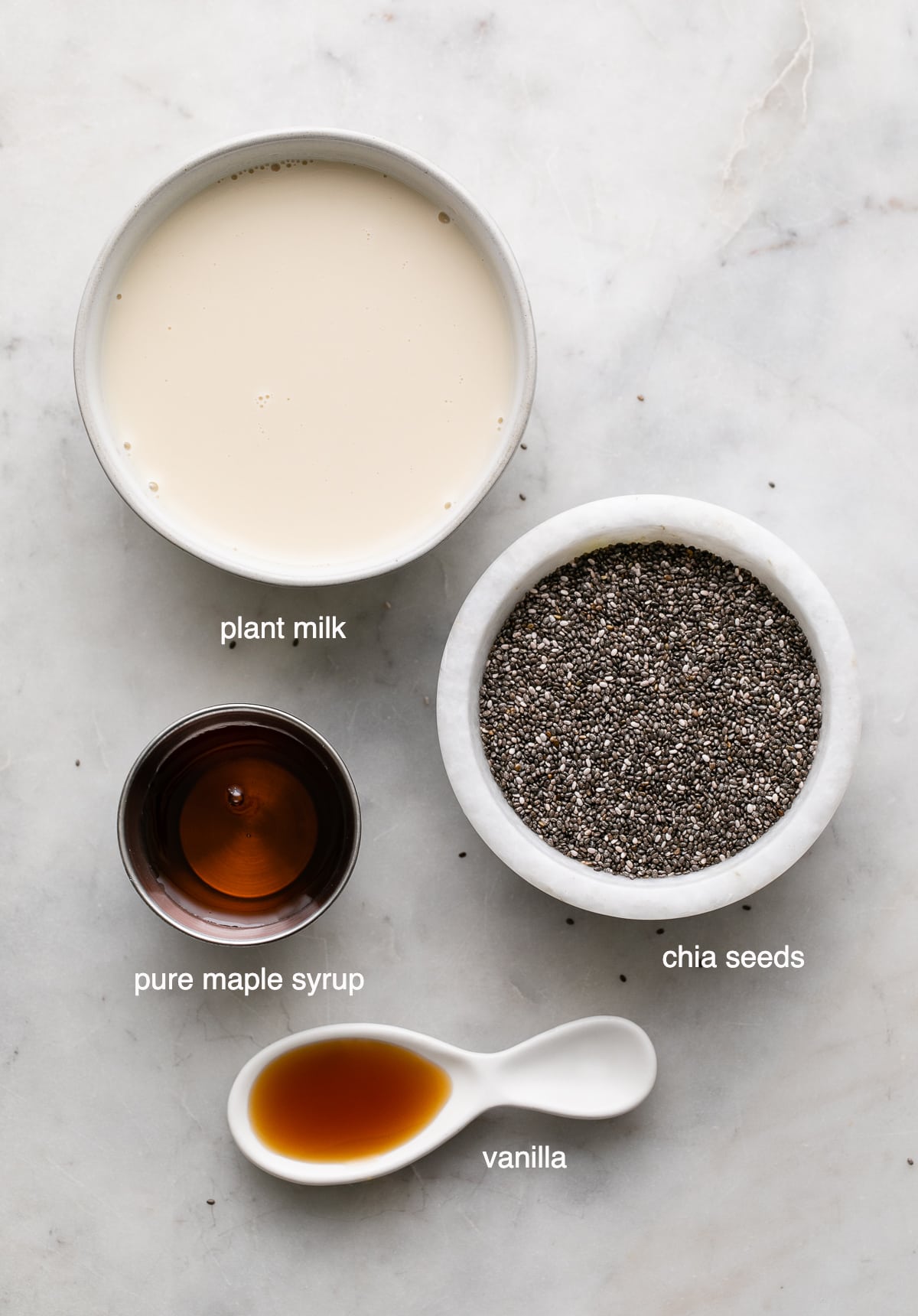 https://simple-veganista.com/wp-content/uploads/2015/02/best-vanilla-chia-pudding-ingredients.jpg