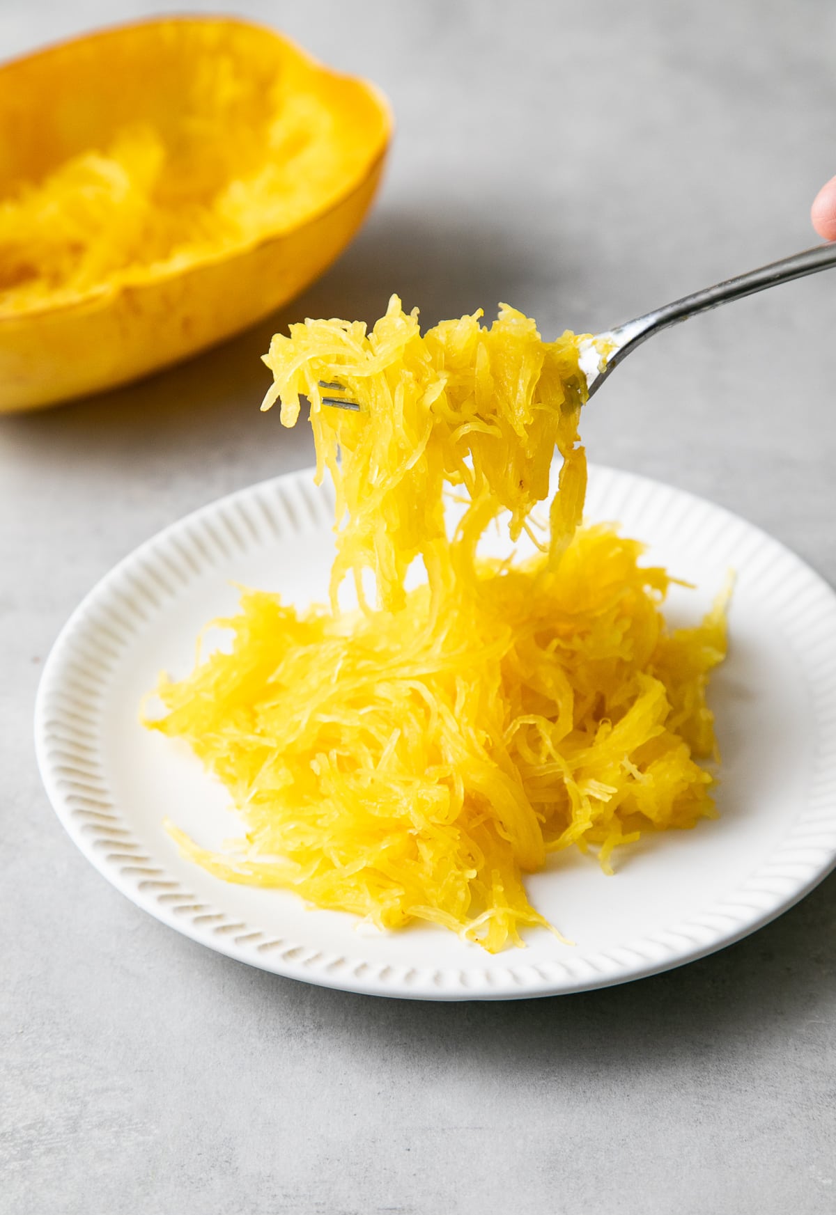 side angle view of spaghetti squash picked up with a fork to show its strinyness.
