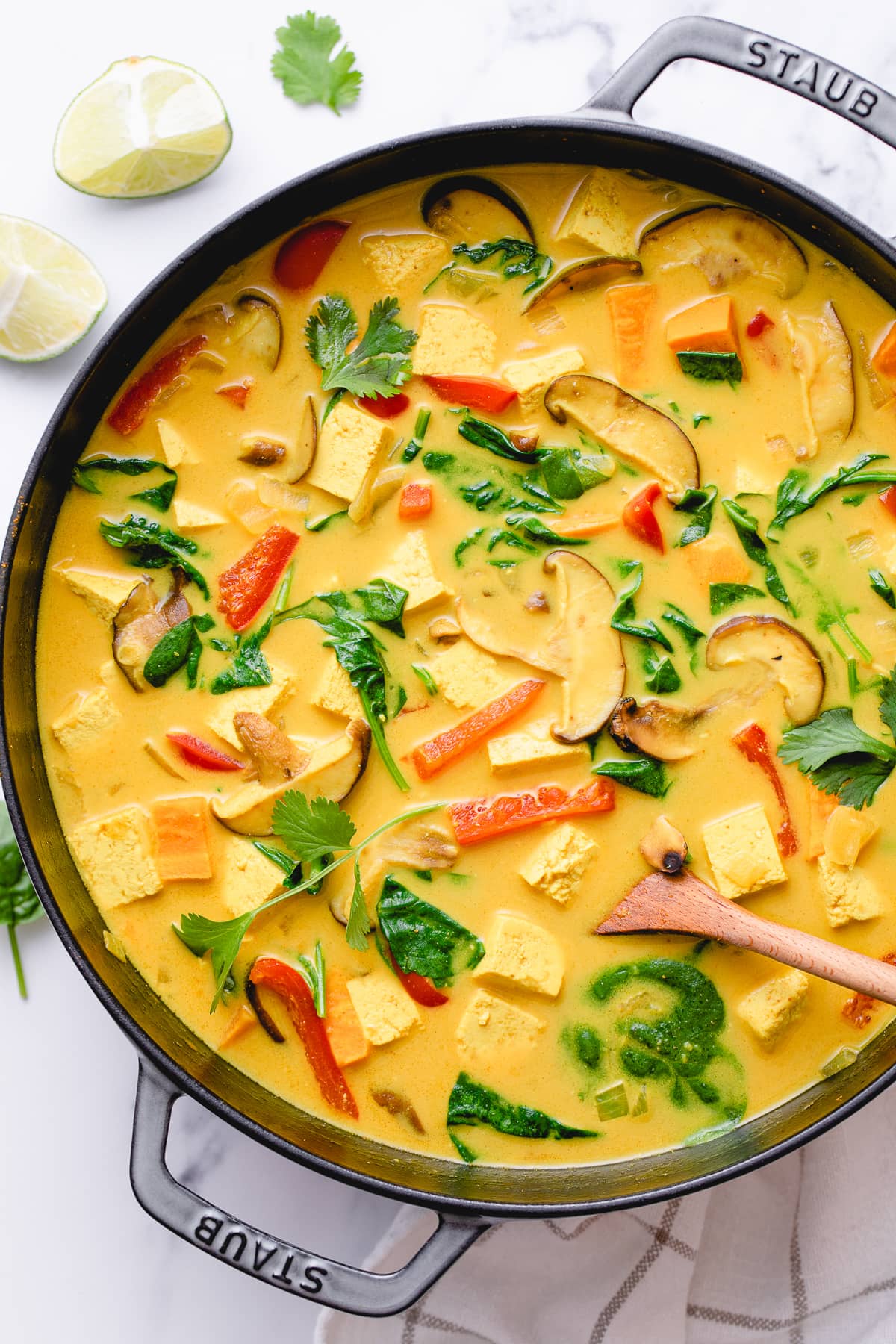 Tofu Curry with Coconut Milk
