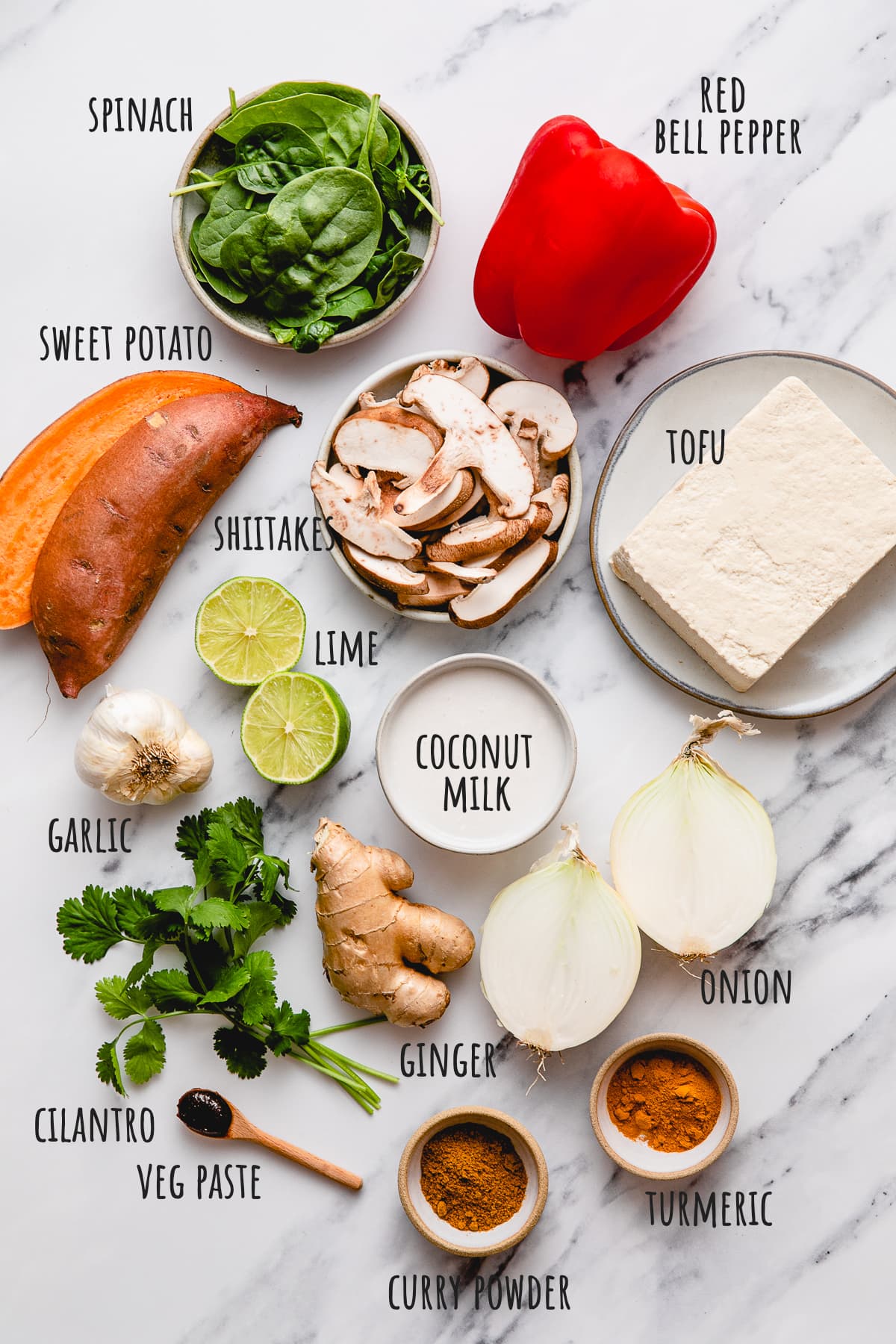top down view of ingredients used to make the best vegan tofu curry.