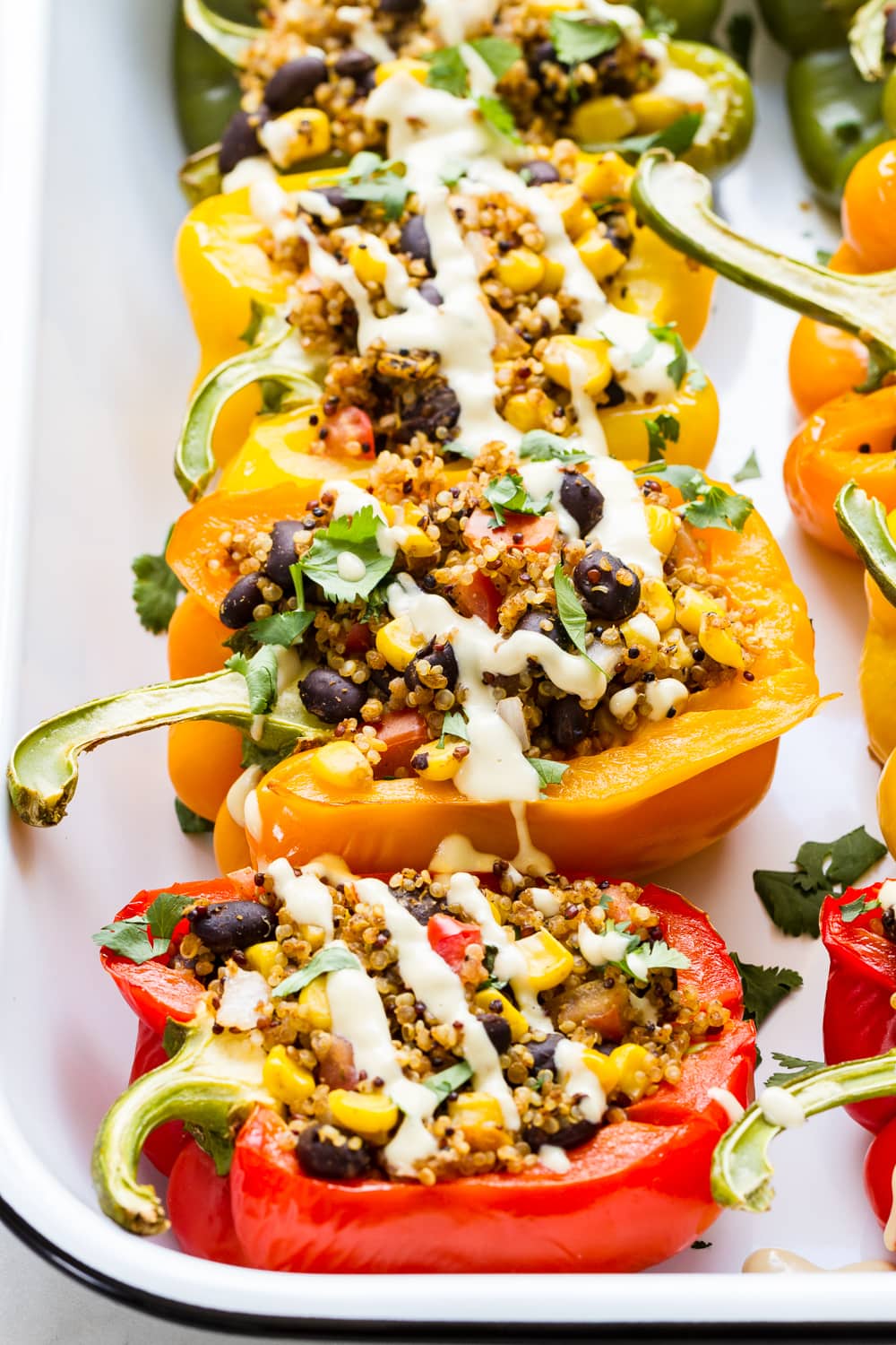 side angle view of quinoa stuffed colored bell peppers on a serving dish topped with vegan cashew cheese sauce.