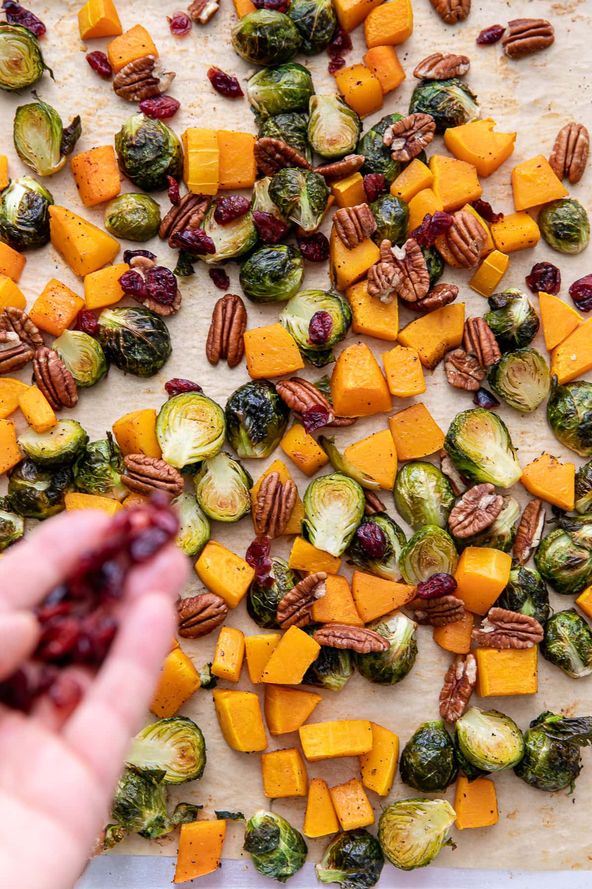 top down view showing cranberries being added to roasted brussles sprouts and butternut squash.
