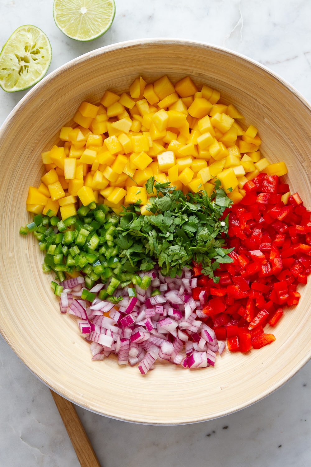 top down view of ingredients for mango salsa in a large mixing bowl just before being combined.