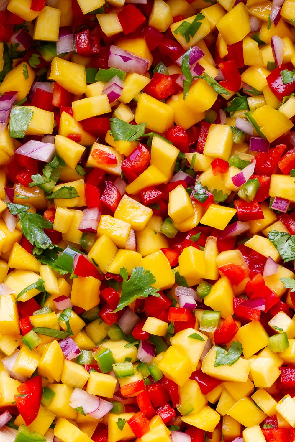 top down, up close view of healthy mango salsa.