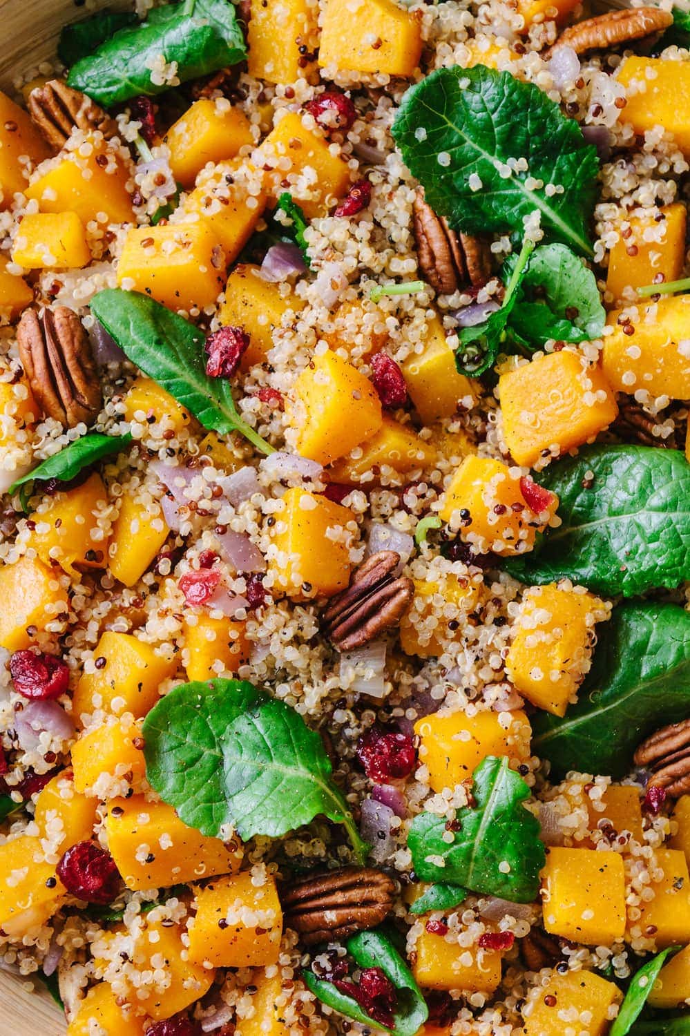 Autumn Butternut Squash & Quinoa Salad Recipe with Pecans & Cranberries