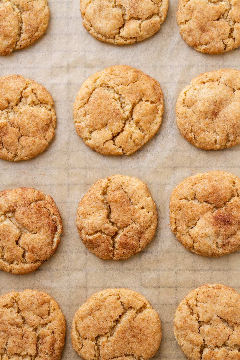 best vegan snickerdoodles on a cooling rack