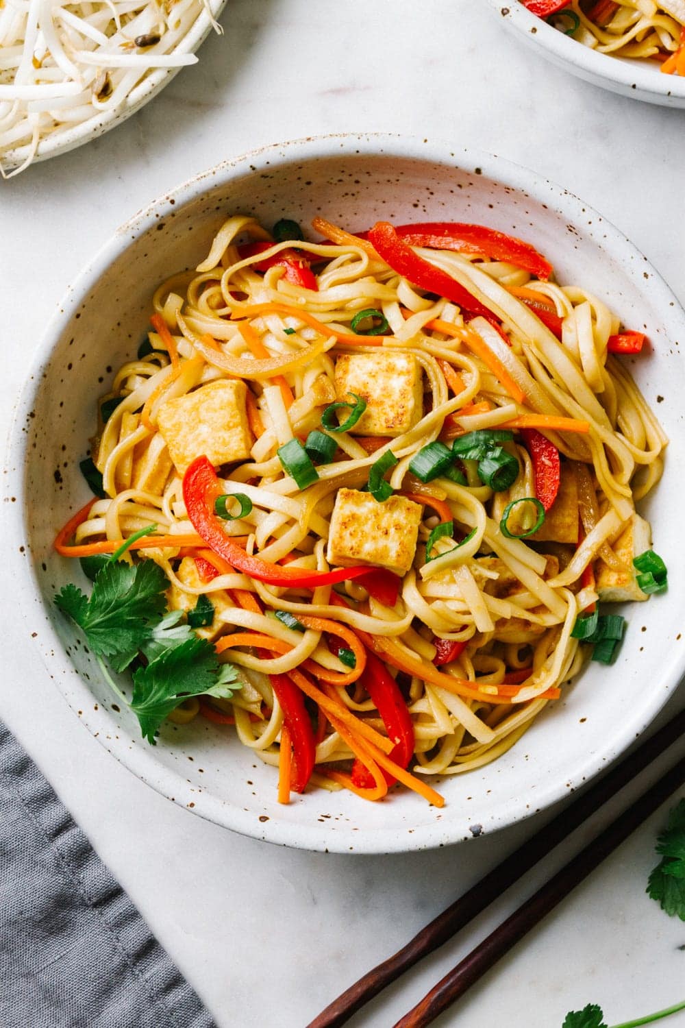 vegetable lo mein with tofu in a bowl