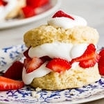 head on view of vegan shortcake biscuits on a small plate with thinks in background.