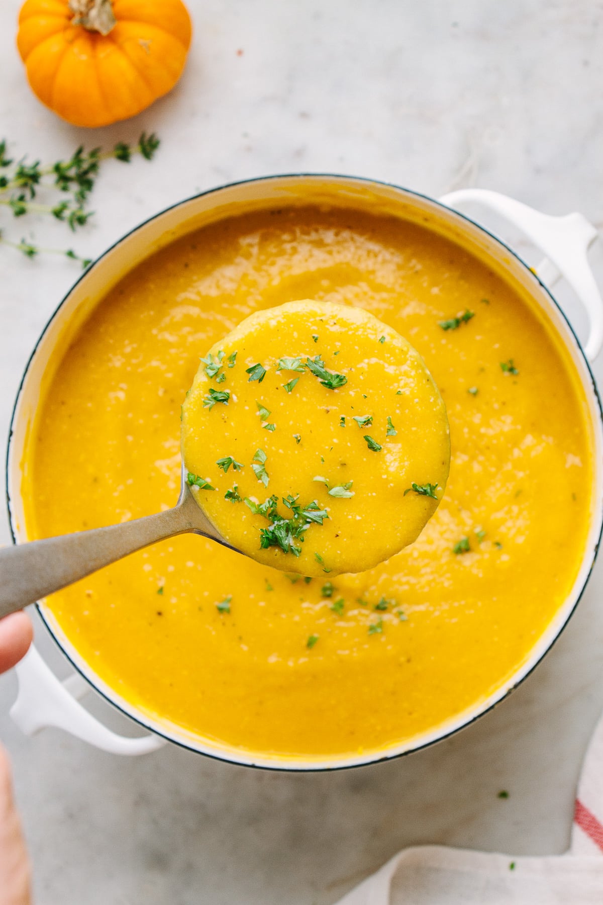 top down view of healthy vegan pumpkin soup in a pot scooped into a ladle.