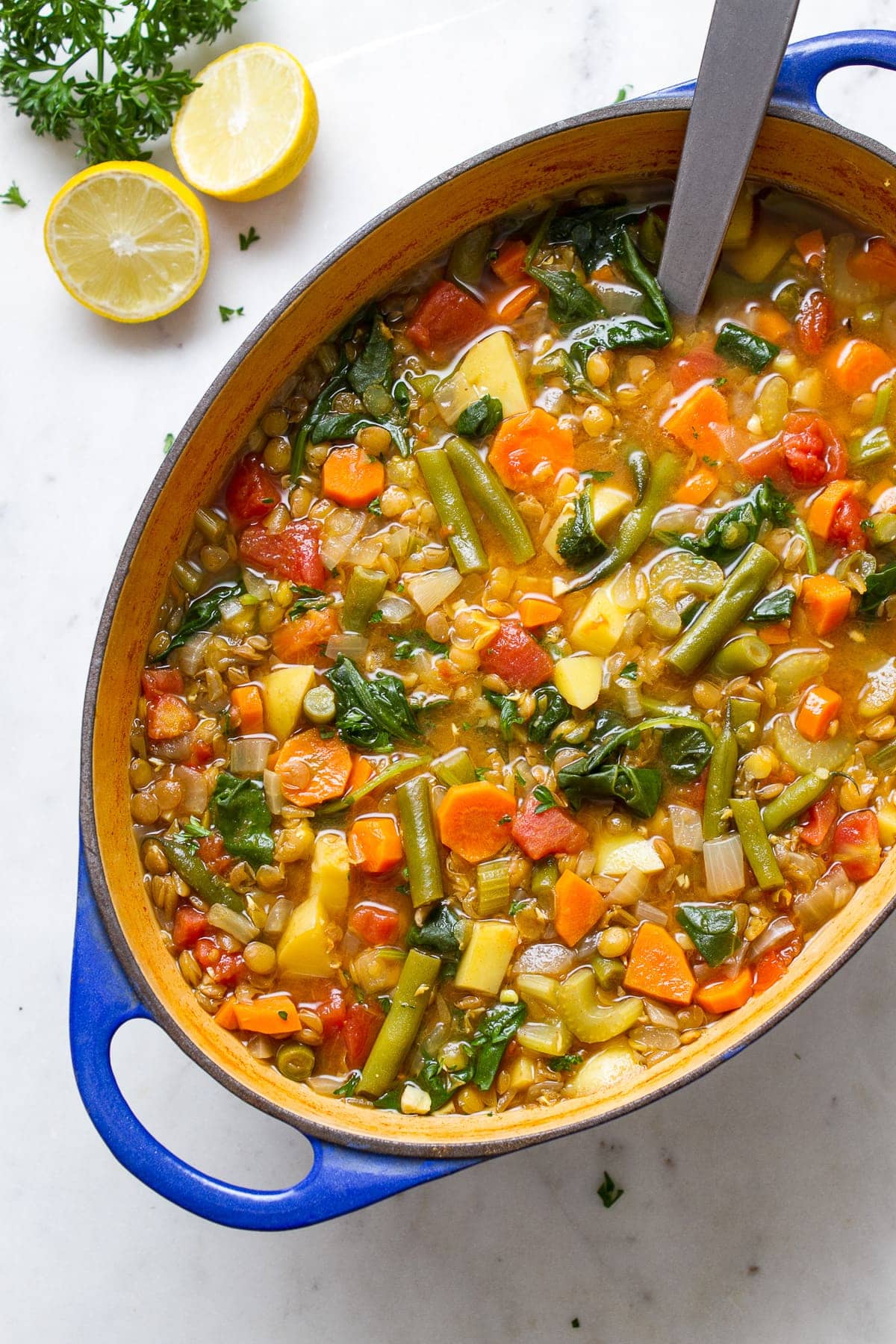 Hearty Vegan Lentil Soup - A Delicious 1-Pot Soup Recipe