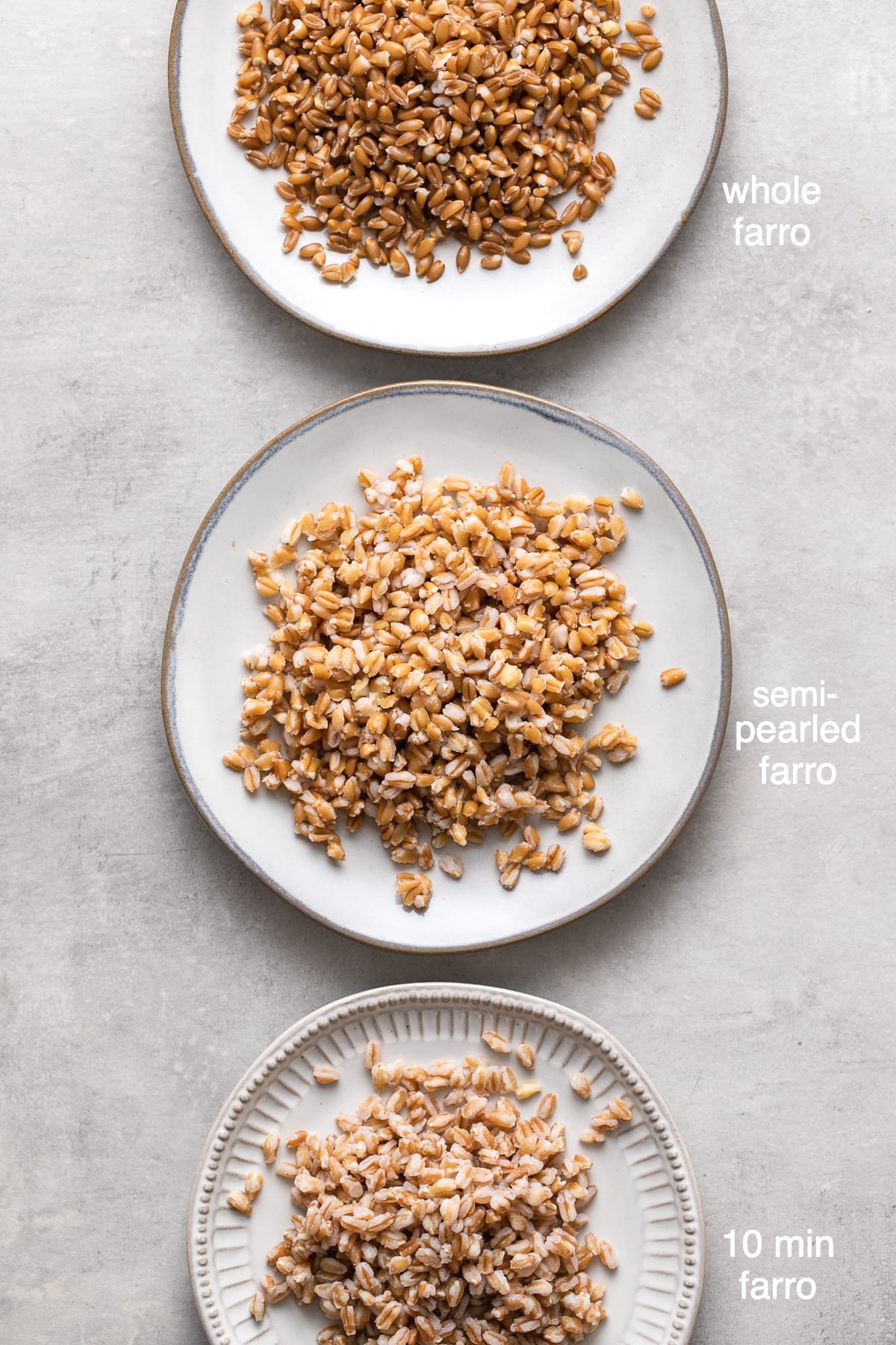 top down view of different types of farro cooked in the instant pot.