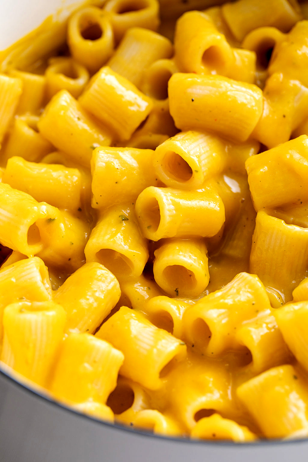 Creamy Vegan Butternut Squash Pasta Sauce (Quick + Easy Recipe)