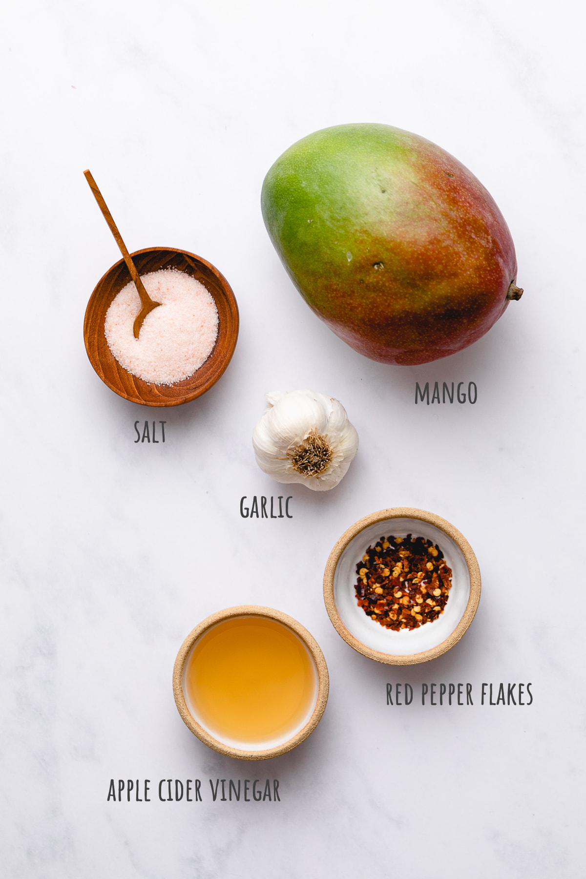 top down view of ingredients used to make the best mango dressing.