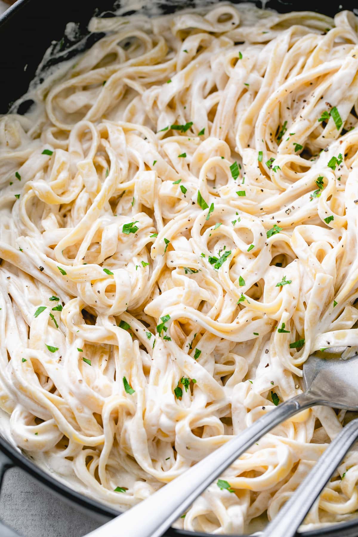 side angle view of freshly made fettuccini alfredo in a pan.