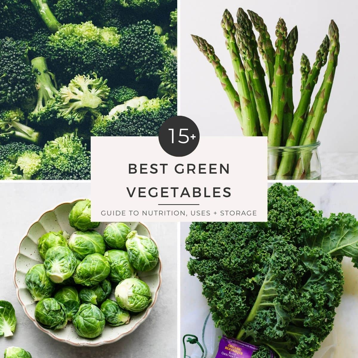 Green Vegetables You Need To Know
