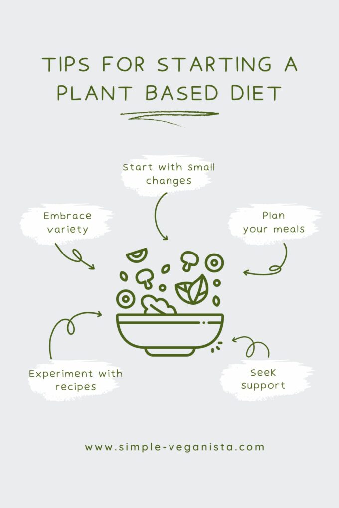 A Plant Based Diet Beginner's Guide To Eating Healthy + Well