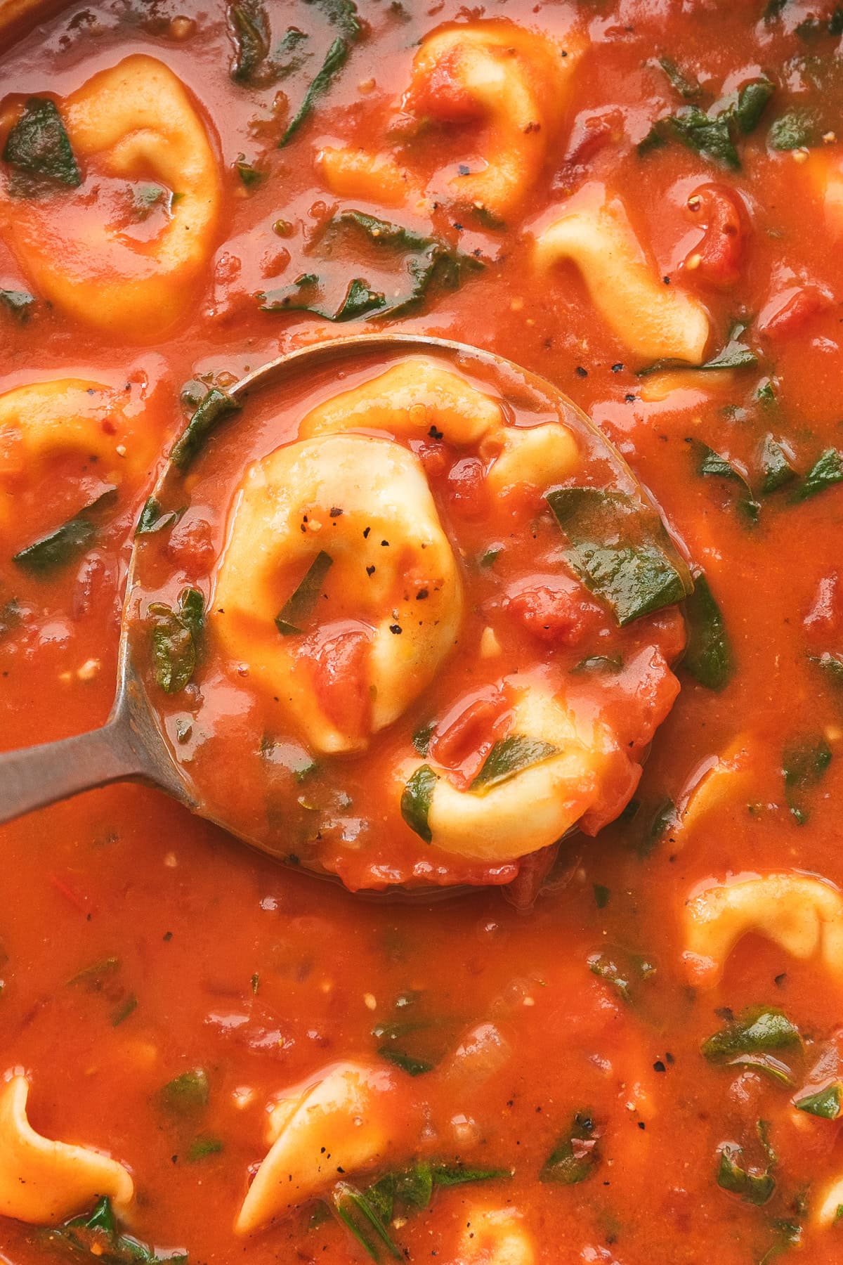up close view of ladle in soup pot with tomato tortellini soup.