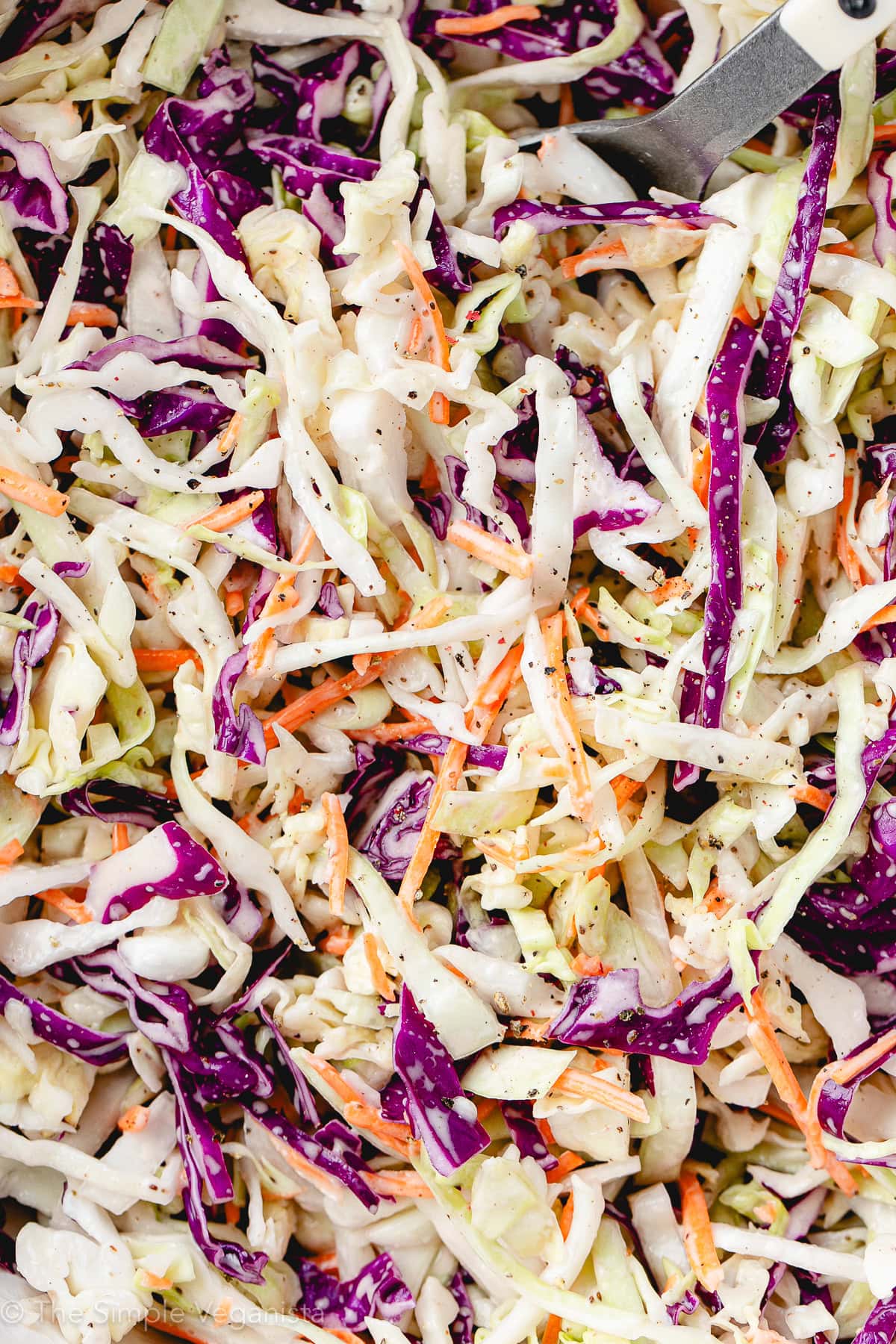 up close view of vegan coleslaw.